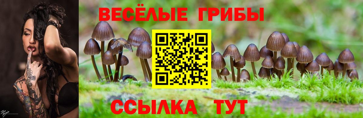 Псилоцибиновые грибы Magic Shrooms Сатка