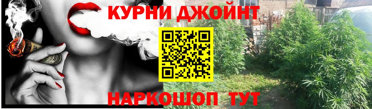 Каннабис семена Сатка